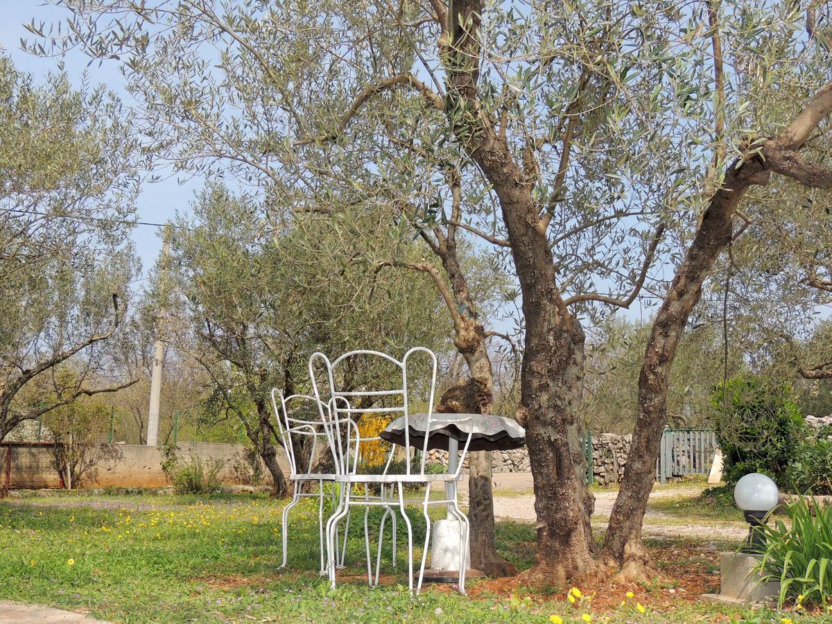 Apartments Zarko Brzac Εξωτερικό φωτογραφία